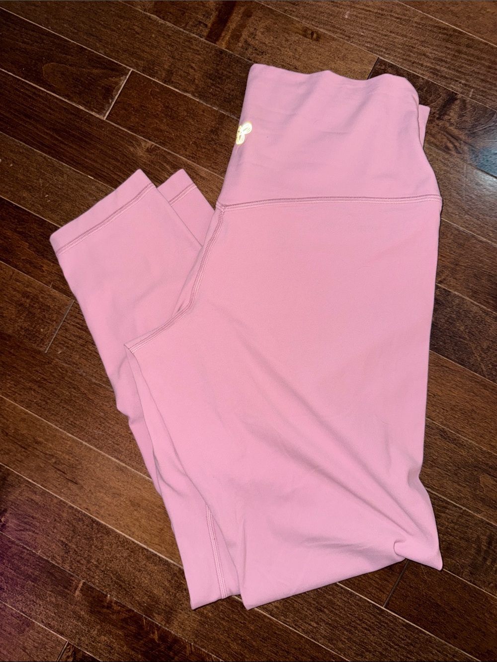 Aritzia Golden active Leggings